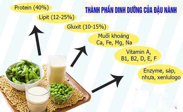 Trong sữa đậu nành chứa rất nhiều chất dinh dưỡng cần thiết 