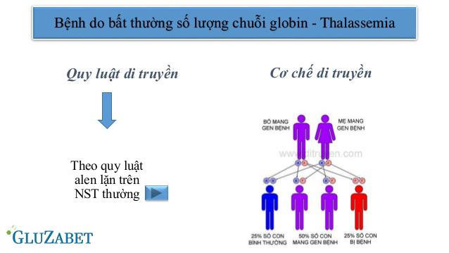 Yếu tố di truyền trong bệnh tiểu đường