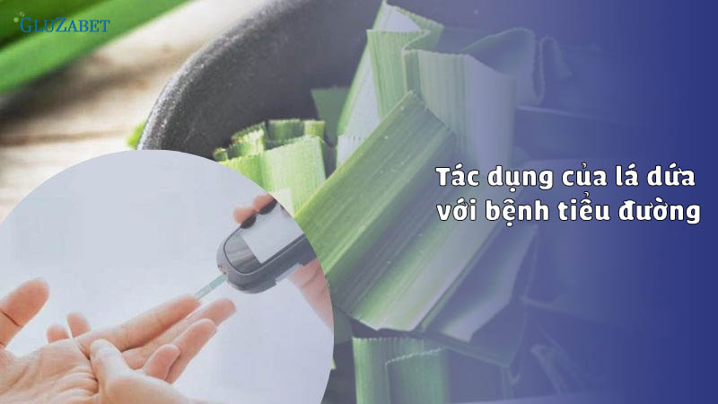 Tác dụng của lá dứa với bệnh tiểu đường