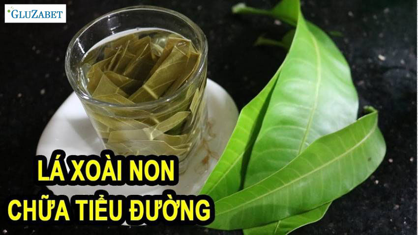 lá xoài chữa tiểu đường