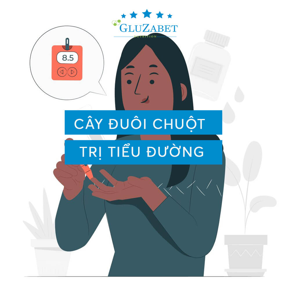 cây đuôi chuột trị tiểu đường