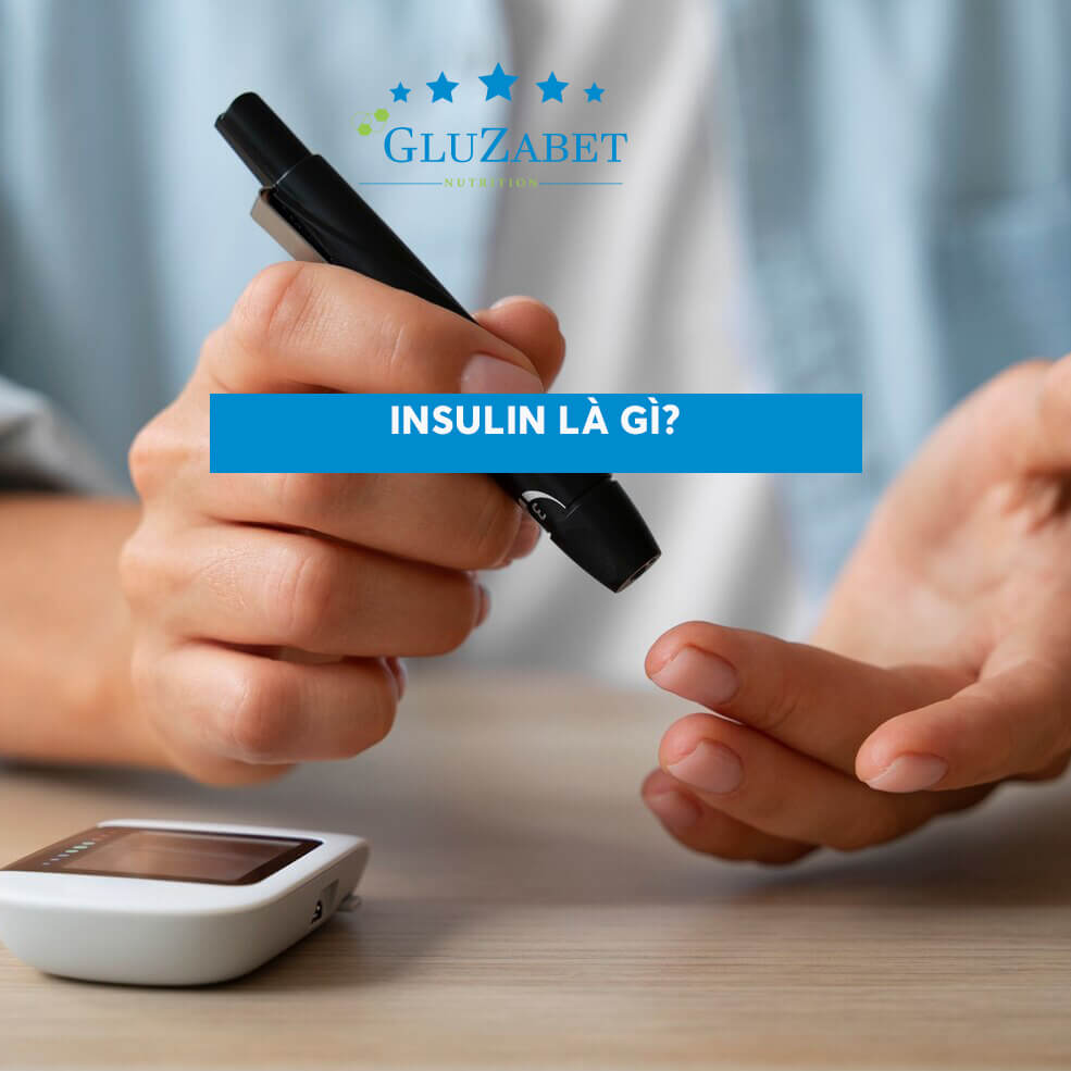 Insulin là gì