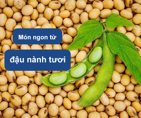 đậu nành tươi làm món gì