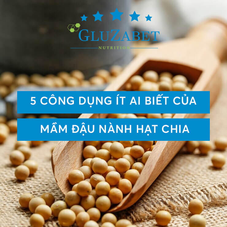 công dụng của mầm đậu nành hạt chia