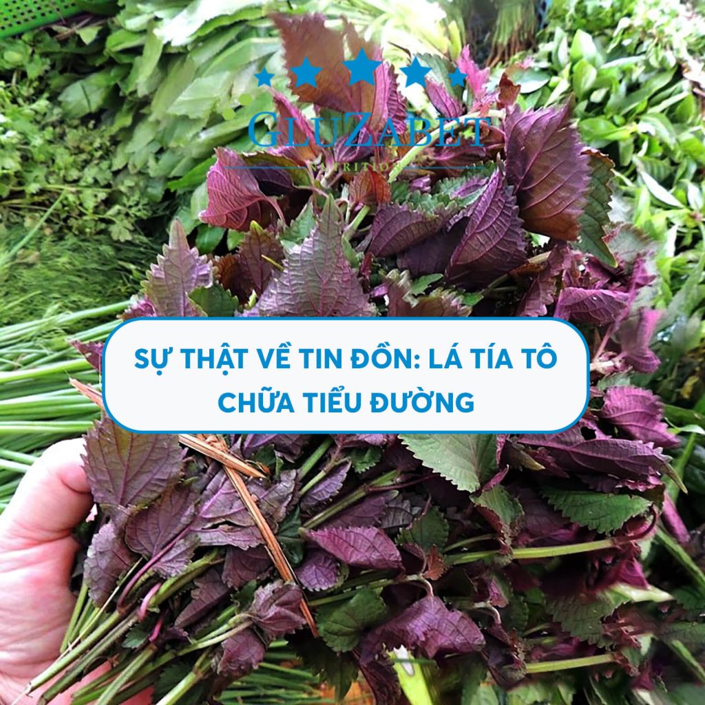 lá tía tô chữa tiểu đường