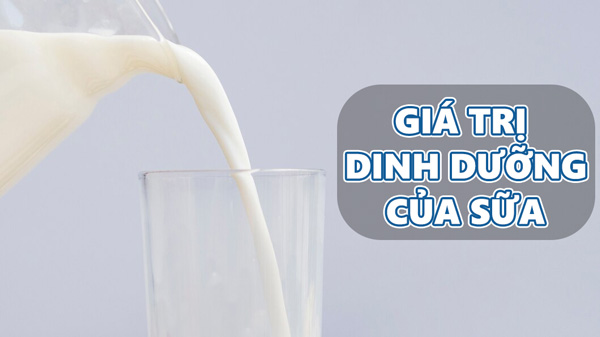 Giá trị dinh dưỡng của sữa